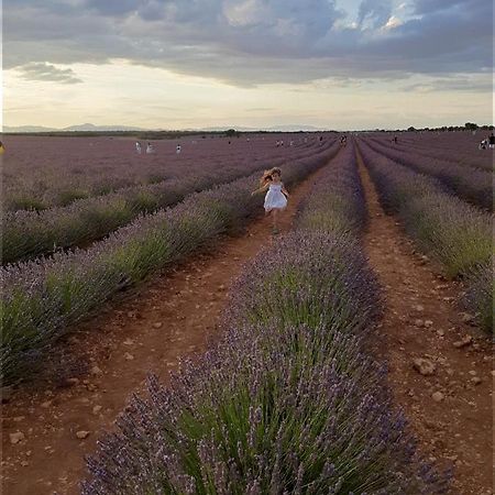 Bujalaro Apartamentos La Bodega Del Abuelo מראה חיצוני תמונה