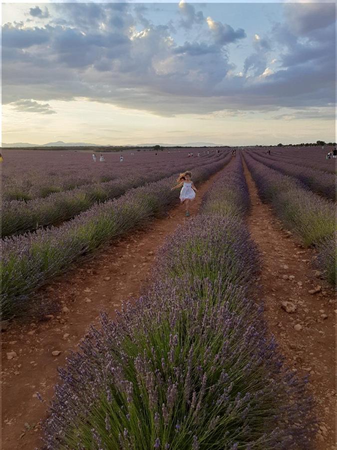 Bujalaro Apartamentos La Bodega Del Abuelo מראה חיצוני תמונה