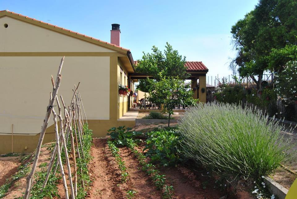 Bujalaro Apartamentos La Bodega Del Abuelo מראה חיצוני תמונה